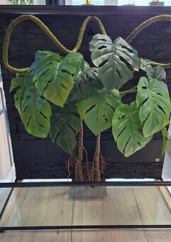 Terarium Repti Planet 90x45x90 - 2