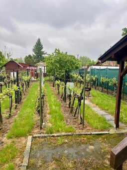 Na predaj celoročne obývateľná chatka Kvitnúci ostrov - 2