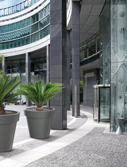 Masívny plastový kvetináč + palma - 2