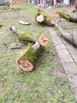 Predám orechové drevo - 2