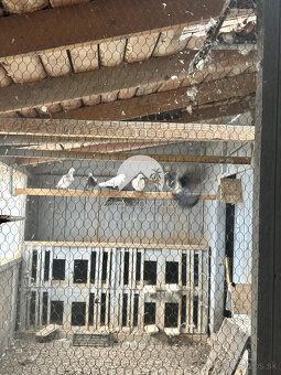 Reality KOMPLEX s.r.o.,Vám ponúka starší 4 izbový rodinný - 2