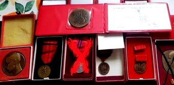 medaily, plakety, odznaky - 2