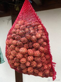 Nelúpané vlašské orechy - 2