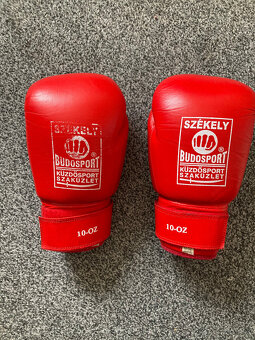 Muay Thai / Kick box set - 2