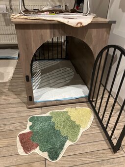 Pomeranian+klietocka - 2