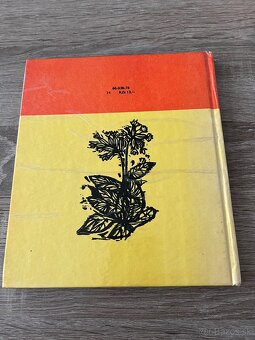 Hana Zelinová Jakubko - 2