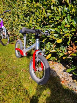 Detské odrážadlo Kokua - 2