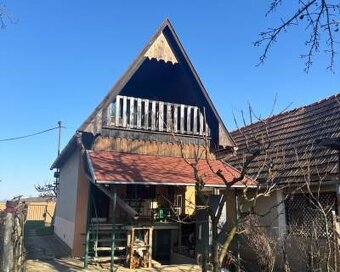 PREDAJ, VINIČNÝ DOMČEK S VINOHRADOM - PODLUŽANY - 2