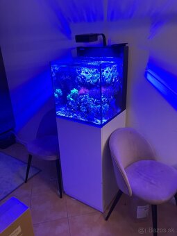 RedSea Nano Max, 75 L - 2