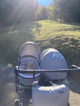 Surodenecky kocik - 2