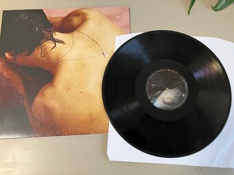 LP Harry Styles - Harry Styles - 2