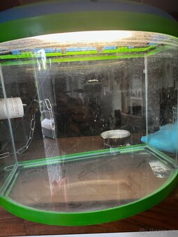 Aquarium - 2