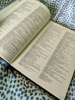 Latinsko-český a česko-latinský slovník - 2