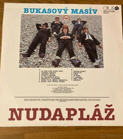 Predám vinyl Bukasovy Masív - 2