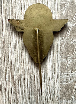 výsadkář para odznak - 2