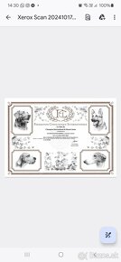 Yorkshire terier - 2