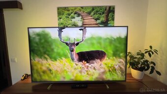 LED Philips 55’’ - 2