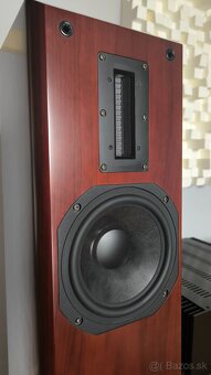 Aurum Cantus M-103 (Rosewood) - 2