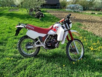 Yamaha DT 125 LC - 2