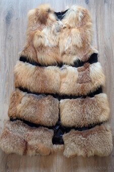 Kozusinova vesta liska - 2