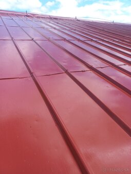 ✅️✅️✅️Nátery striech natieranie maľovanie N_15789 - 2