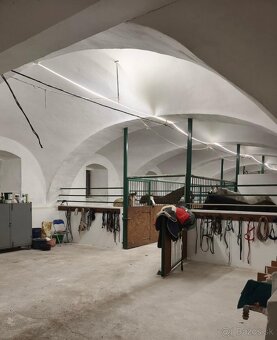 Ustajnenie koní - 2