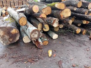 Palivové drevo, listnatá dubová vláknina - 2