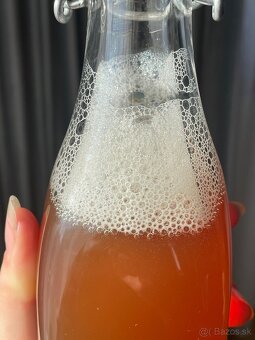 Domáca kombucha- živý fermentovaný čajový nápoj. - 2