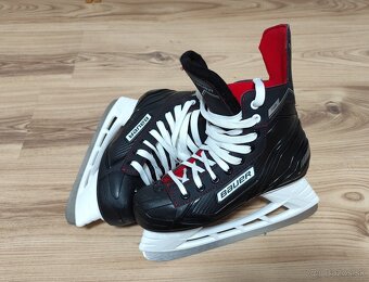 Korčule Bauer NS - 2