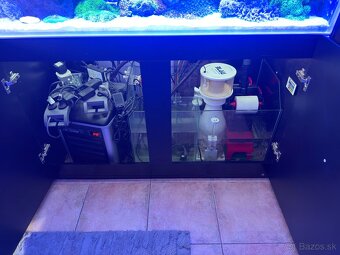 Morske akvarium dohodou - 2