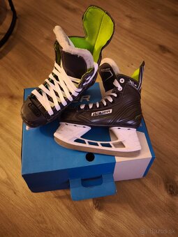 Korcule Bauer XLS 33.5 - 2