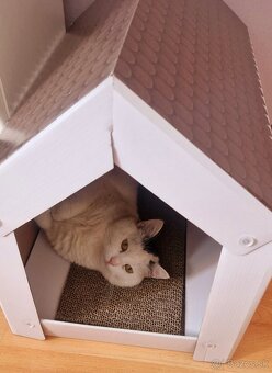 OPATROVANIE MACICKY - 2