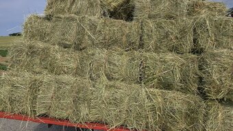 Seno - malé balíky - 2