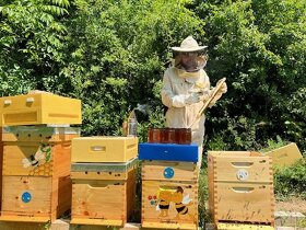 včely - rýchlokurzy pre začínajúcich včelárov - 2
