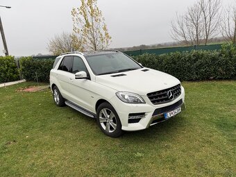 Mercedes Benz ML 250 4MATIC - 2