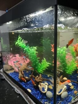 Predám akvárium - 2