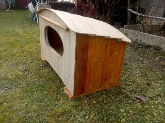 predam psiu budu - 2