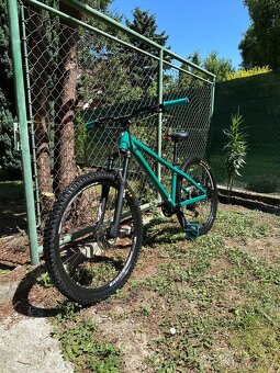 Kellys Whip 50 custom - 2