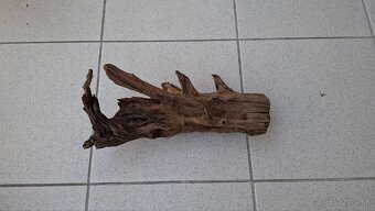 Mangrovovy koren velkost M - 2