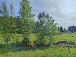 Predaj : Rekreačný pozemok v krásnom prostredí Rajeckej Lesn - 2