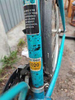 Horský bicykel značky Alpina - 2