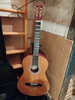 Španielka - 2