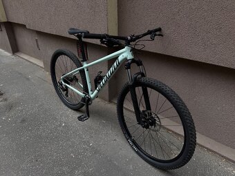 Specialized Rockhopper Comp 29” - 2