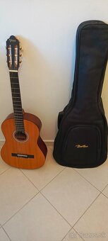 Gitara - 2