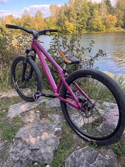 Ctm Dirtking - 2