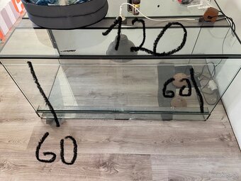 Terarium - 2
