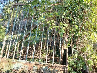 Predám dvojkrídlovú bránu - 2