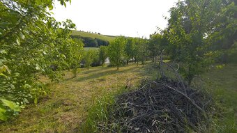 Predám sad pri Myjave 14,00€ m2 - 2