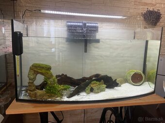 Akvarium - 2