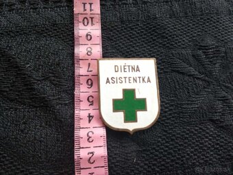 smaltovany odznak- dietna asistentka - 2